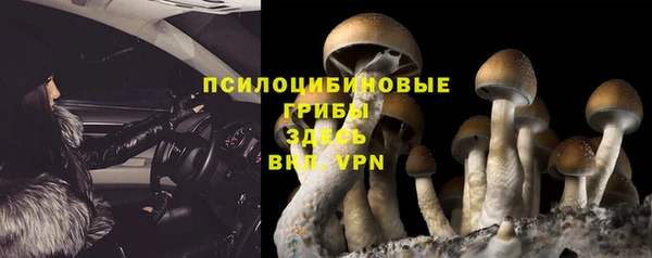 кокаин колумбия Алексин