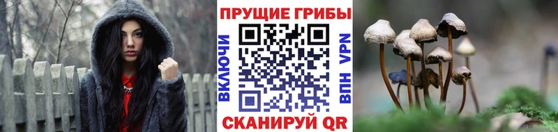 цены   МЕГА ТОР  Псилоцибиновые грибы ЛСД  Анапа 